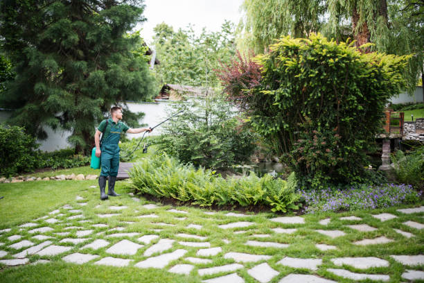 Best Wasp Removal Services  in Elkins, AR