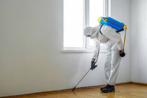 Best Local Pest Control Services  in Elkins, AR