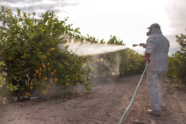 Best Emergency Pest Control  in Elkins, AR