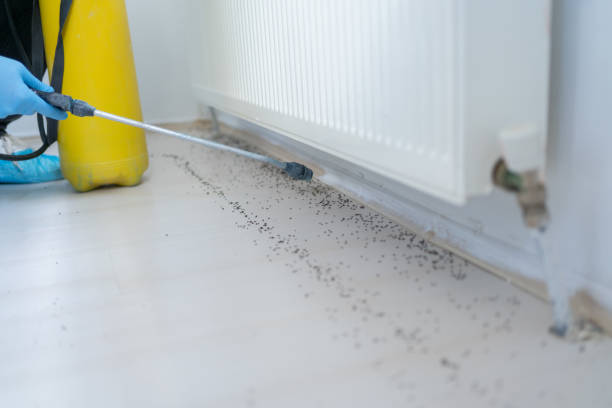 Best Commercial Pest Control Services  in Elkins, AR