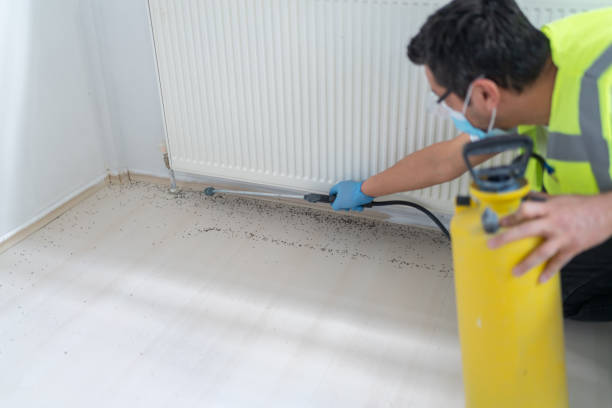 Best Pest Control for Homes  in Elkins, AR