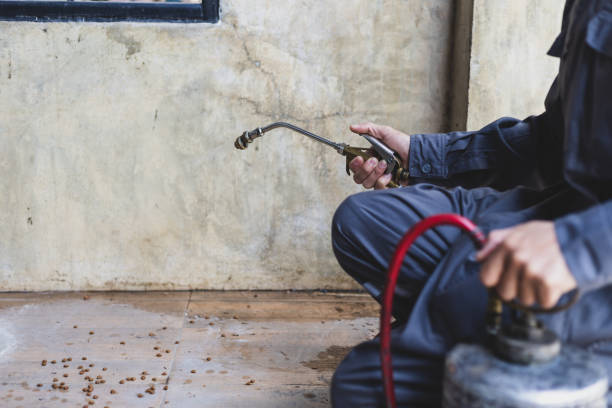 Best Mosquito Control Services  in Elkins, AR